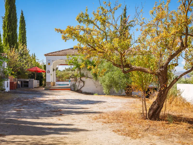 Charming rustic finca with olive trees just 2km from the centre of Ronda, featuring a spacious house of 186 built m², ideal for those seeking tranquility, space, and a connection with nature. The house is distributed over two levels. On the ground floor, 