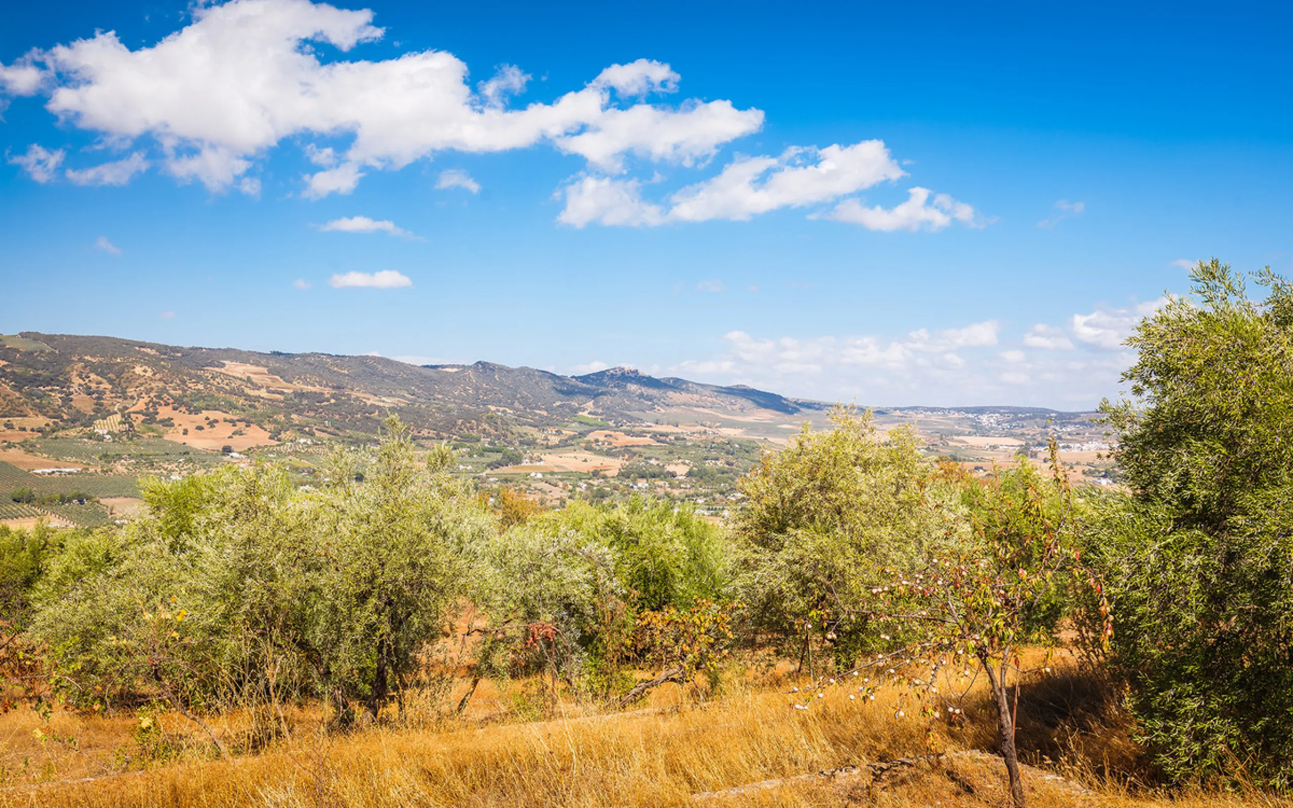 Charming rustic finca with olive trees just 2km from the centre of Ronda, featuring a spacious house of 186 built m², ideal for those seeking tranquility, space, and a connection with nature. The house is distributed over two levels. On the ground floor, 