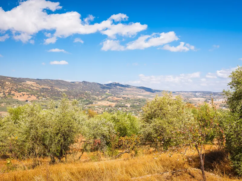 Charming rustic finca with olive trees just 2km from the centre of Ronda, featuring a spacious house of 186 built m², ideal for those seeking tranquility, space, and a connection with nature. The house is distributed over two levels. On the ground floor, 