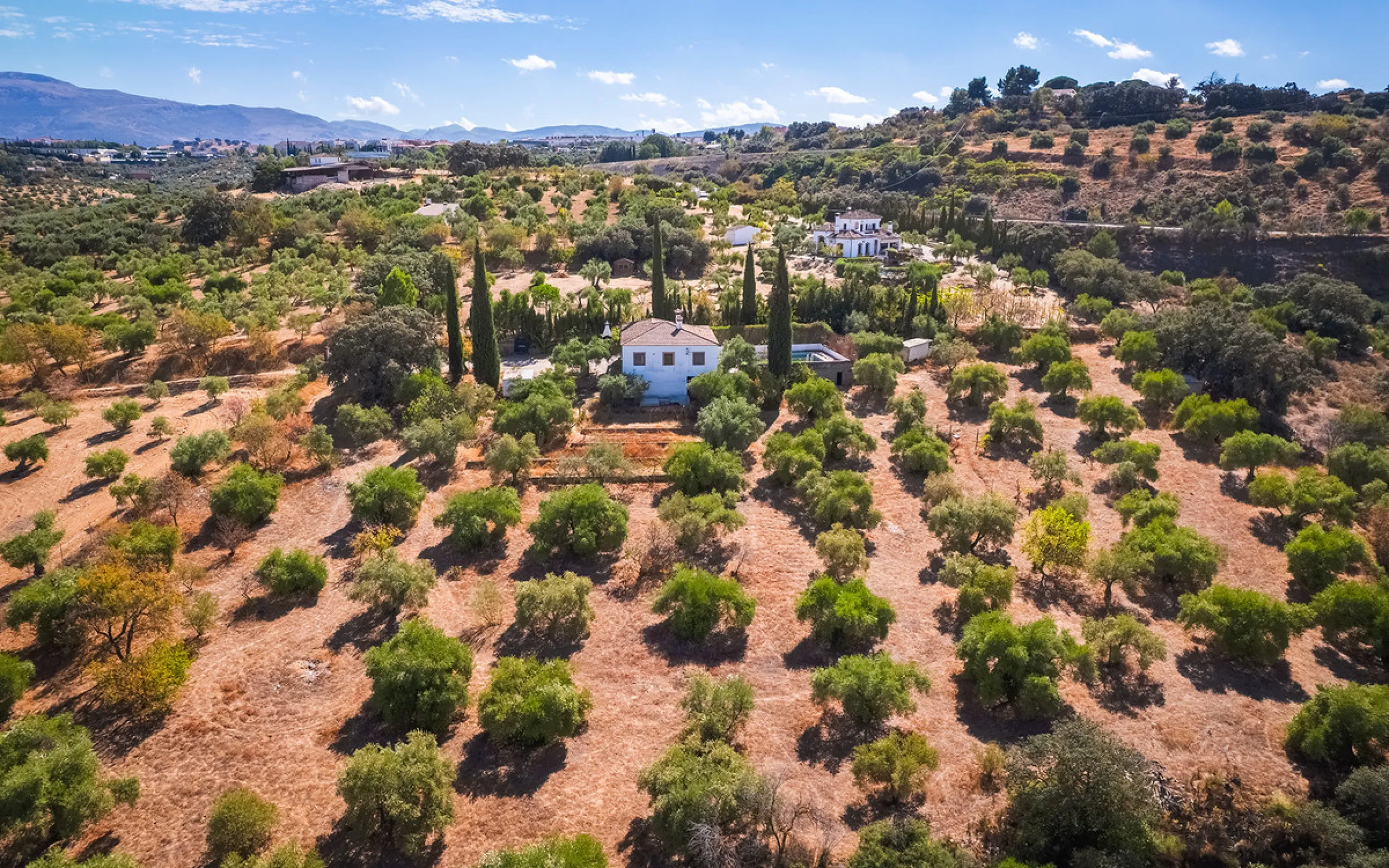 Charming rustic finca with olive trees just 2km from the centre of Ronda, featuring a spacious house of 186 built m², ideal for those seeking tranquility, space, and a connection with nature. The house is distributed over two levels. On the ground floor, 