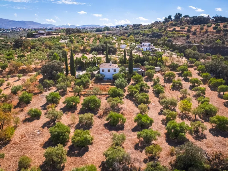 Charming rustic finca with olive trees just 2km from the centre of Ronda, featuring a spacious house of 186 built m², ideal for those seeking tranquility, space, and a connection with nature. The house is distributed over two levels. On the ground floor, 