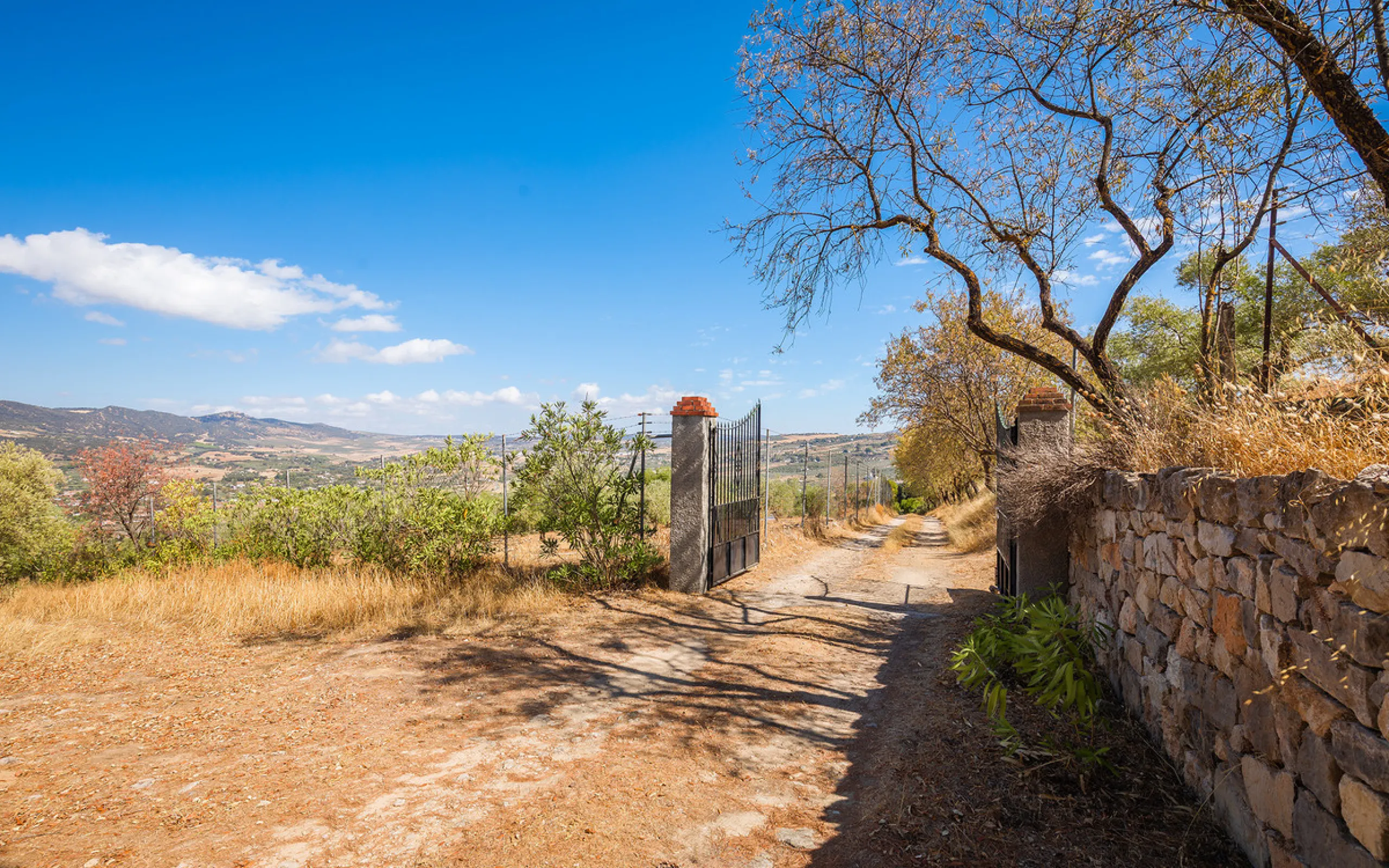 Charming rustic finca with olive trees just 2km from the centre of Ronda, featuring a spacious house of 186 built m², ideal for those seeking tranquility, space, and a connection with nature. The house is distributed over two levels. On the ground floor, 