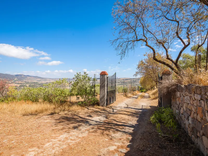 Charming rustic finca with olive trees just 2km from the centre of Ronda, featuring a spacious house of 186 built m², ideal for those seeking tranquility, space, and a connection with nature. The house is distributed over two levels. On the ground floor, 