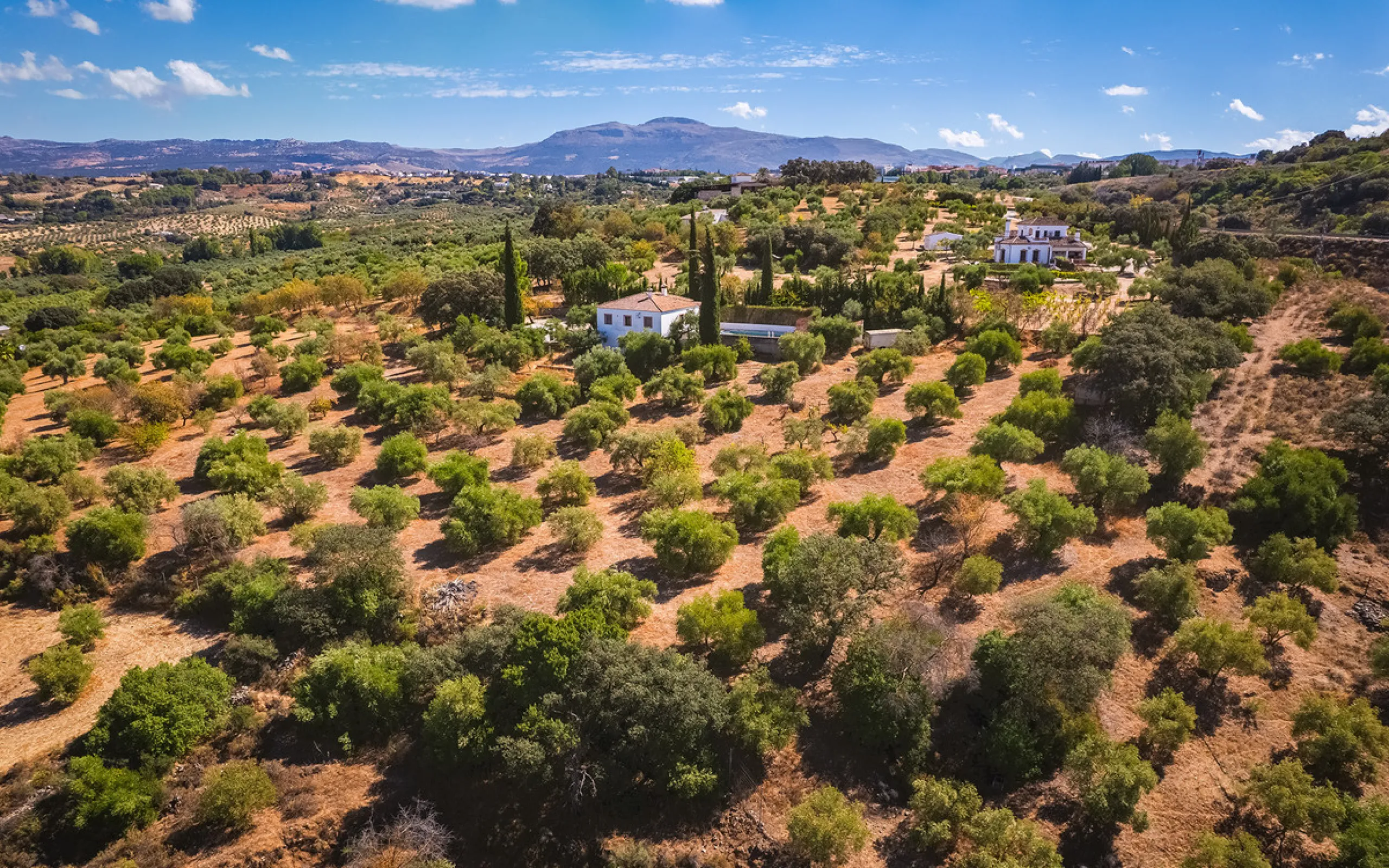 Charming rustic finca with olive trees just 2km from the centre of Ronda, featuring a spacious house of 186 built m², ideal for those seeking tranquility, space, and a connection with nature. The house is distributed over two levels. On the ground floor, 