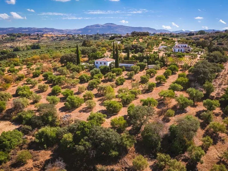 Charming rustic finca with olive trees just 2km from the centre of Ronda, featuring a spacious house of 186 built m², ideal for those seeking tranquility, space, and a connection with nature. The house is distributed over two levels. On the ground floor, 