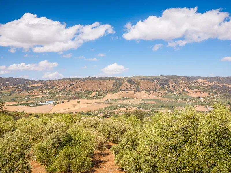 Charming rustic finca with olive trees just 2km from the centre of Ronda, featuring a spacious house of 186 built m², ideal for those seeking tranquility, space, and a connection with nature. The house is distributed over two levels. On the ground floor, 