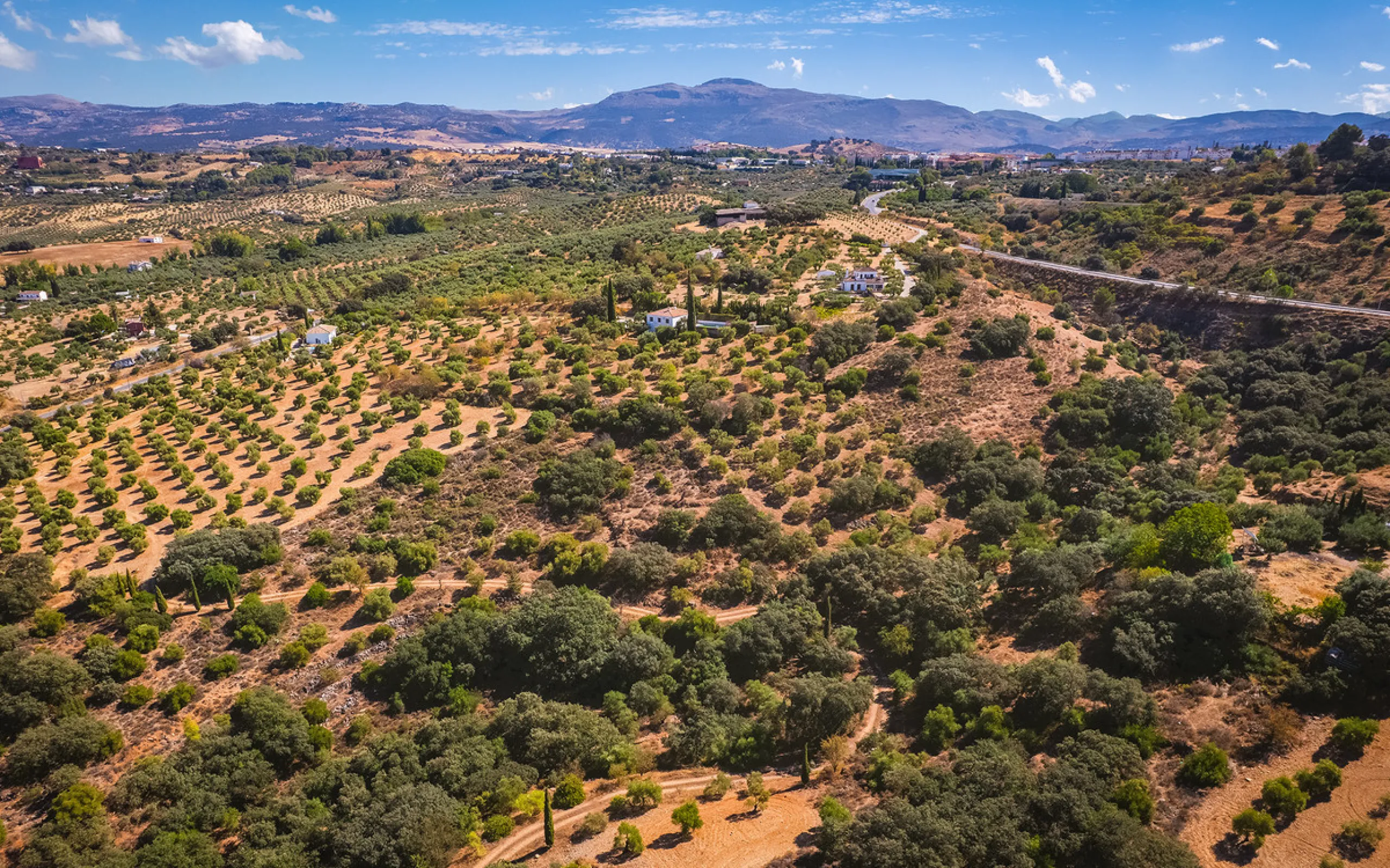 Charming rustic finca with olive trees just 2km from the centre of Ronda, featuring a spacious house of 186 built m², ideal for those seeking tranquility, space, and a connection with nature. The house is distributed over two levels. On the ground floor, 