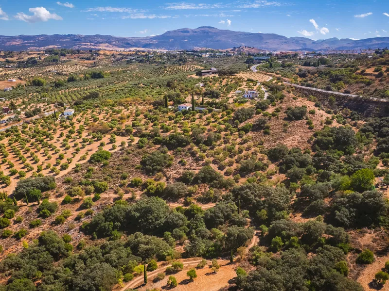Charming rustic finca with olive trees just 2km from the centre of Ronda, featuring a spacious house of 186 built m², ideal for those seeking tranquility, space, and a connection with nature. The house is distributed over two levels. On the ground floor, 