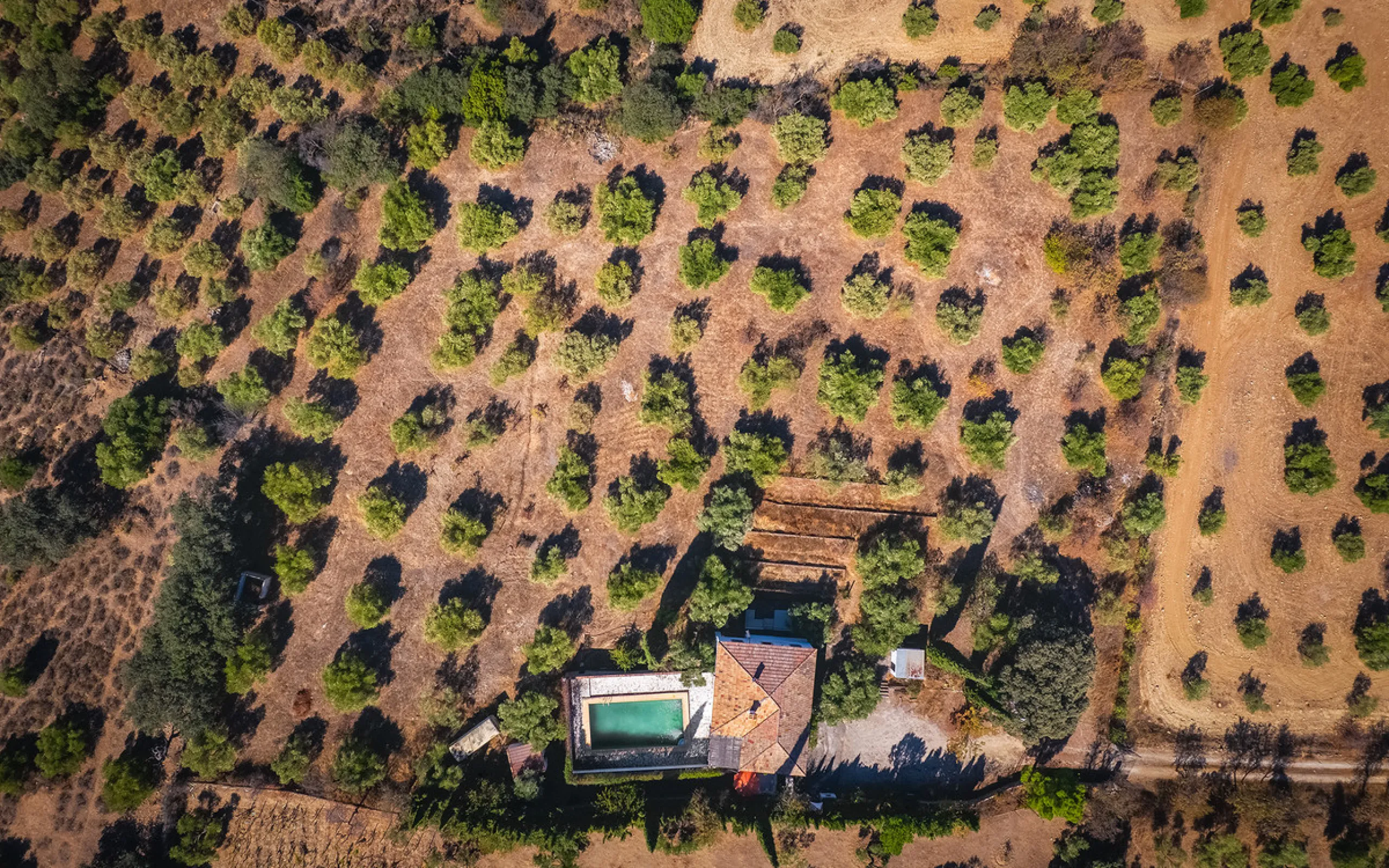 Charming rustic finca with olive trees just 2km from the centre of Ronda, featuring a spacious house of 186 built m², ideal for those seeking tranquility, space, and a connection with nature. The house is distributed over two levels. On the ground floor, 
