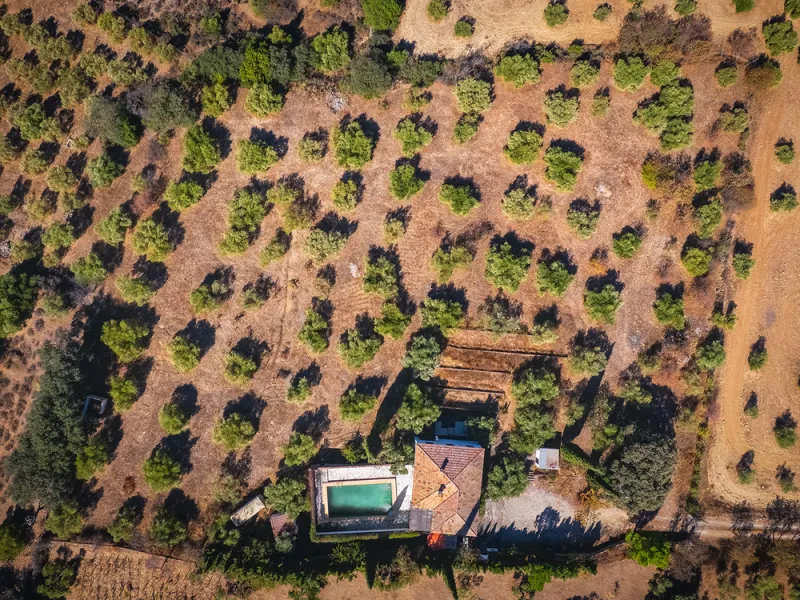 Charming rustic finca with olive trees just 2km from the centre of Ronda, featuring a spacious house of 186 built m², ideal for those seeking tranquility, space, and a connection with nature. The house is distributed over two levels. On the ground floor, 