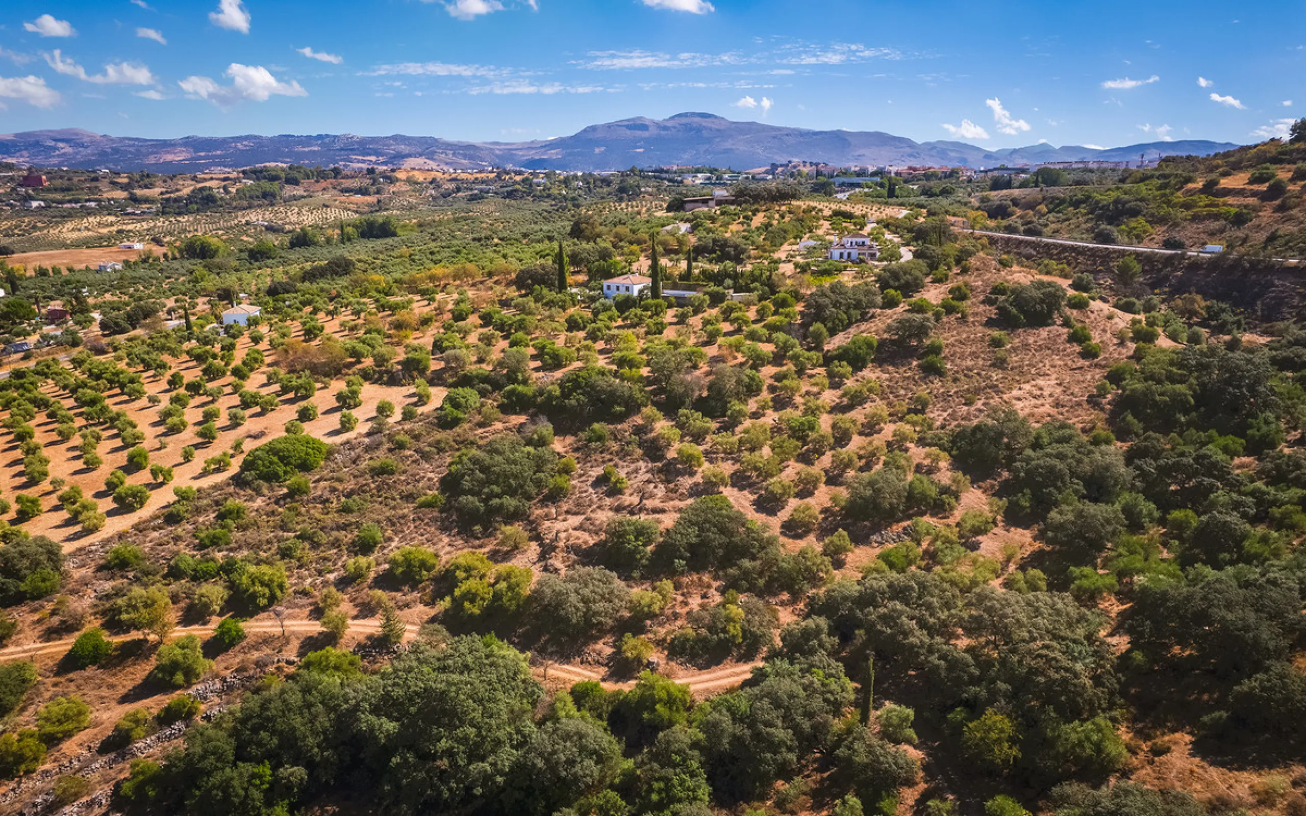 Charming rustic finca with olive trees just 2km from the centre of Ronda, featuring a spacious house of 186 built m², ideal for those seeking tranquility, space, and a connection with nature. The house is distributed over two levels. On the ground floor, 