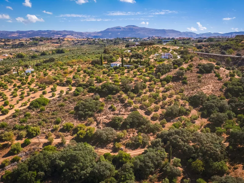 Charming rustic finca with olive trees just 2km from the centre of Ronda, featuring a spacious house of 186 built m², ideal for those seeking tranquility, space, and a connection with nature. The house is distributed over two levels. On the ground floor, 
