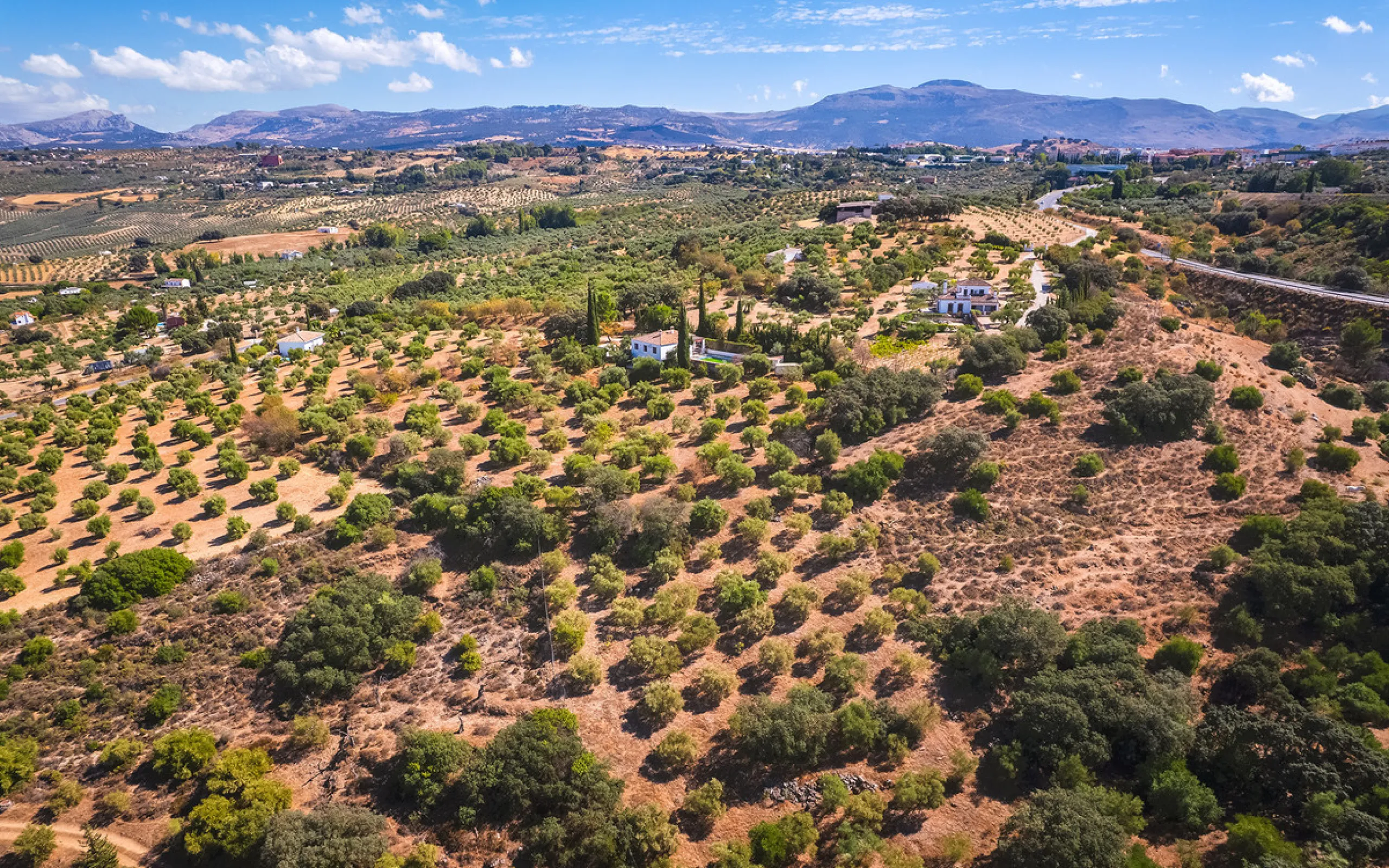 Charming rustic finca with olive trees just 2km from the centre of Ronda, featuring a spacious house of 186 built m², ideal for those seeking tranquility, space, and a connection with nature. The house is distributed over two levels. On the ground floor, 