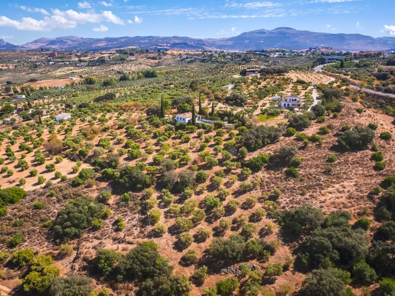 Charming rustic finca with olive trees just 2km from the centre of Ronda, featuring a spacious house of 186 built m², ideal for those seeking tranquility, space, and a connection with nature. The house is distributed over two levels. On the ground floor, 