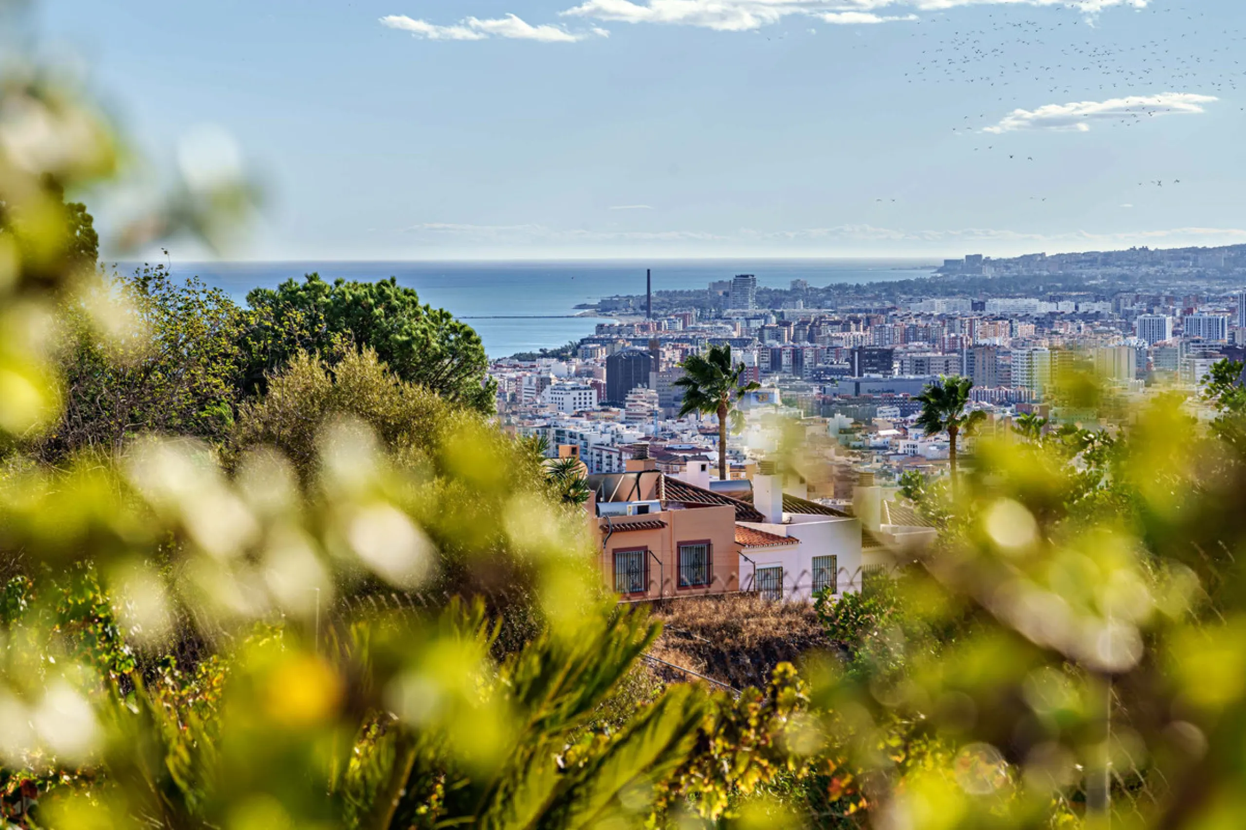 House - Detached Villa в продаже в Ciudad Jardín, Málaga. В доме 3 спален и 2 ванных комнат. Площадь дома 336 м². Площадь участка 533 м²