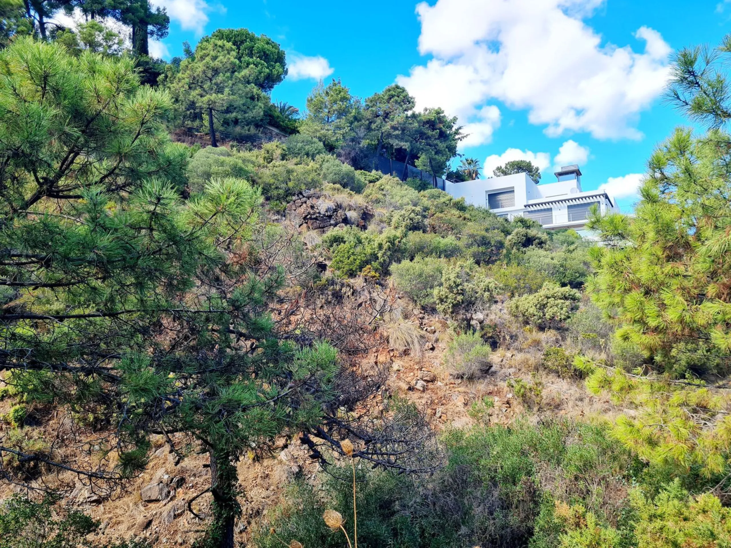 Plot for Sale in El Madroñal, Benahavís!