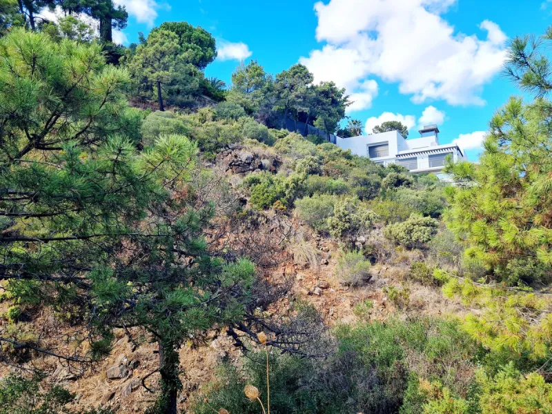 Plot for Sale in El Madroñal, Benahavís!