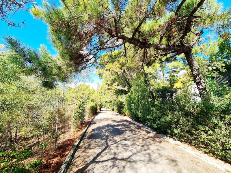 Plot for Sale in El Madroñal, Benahavís!