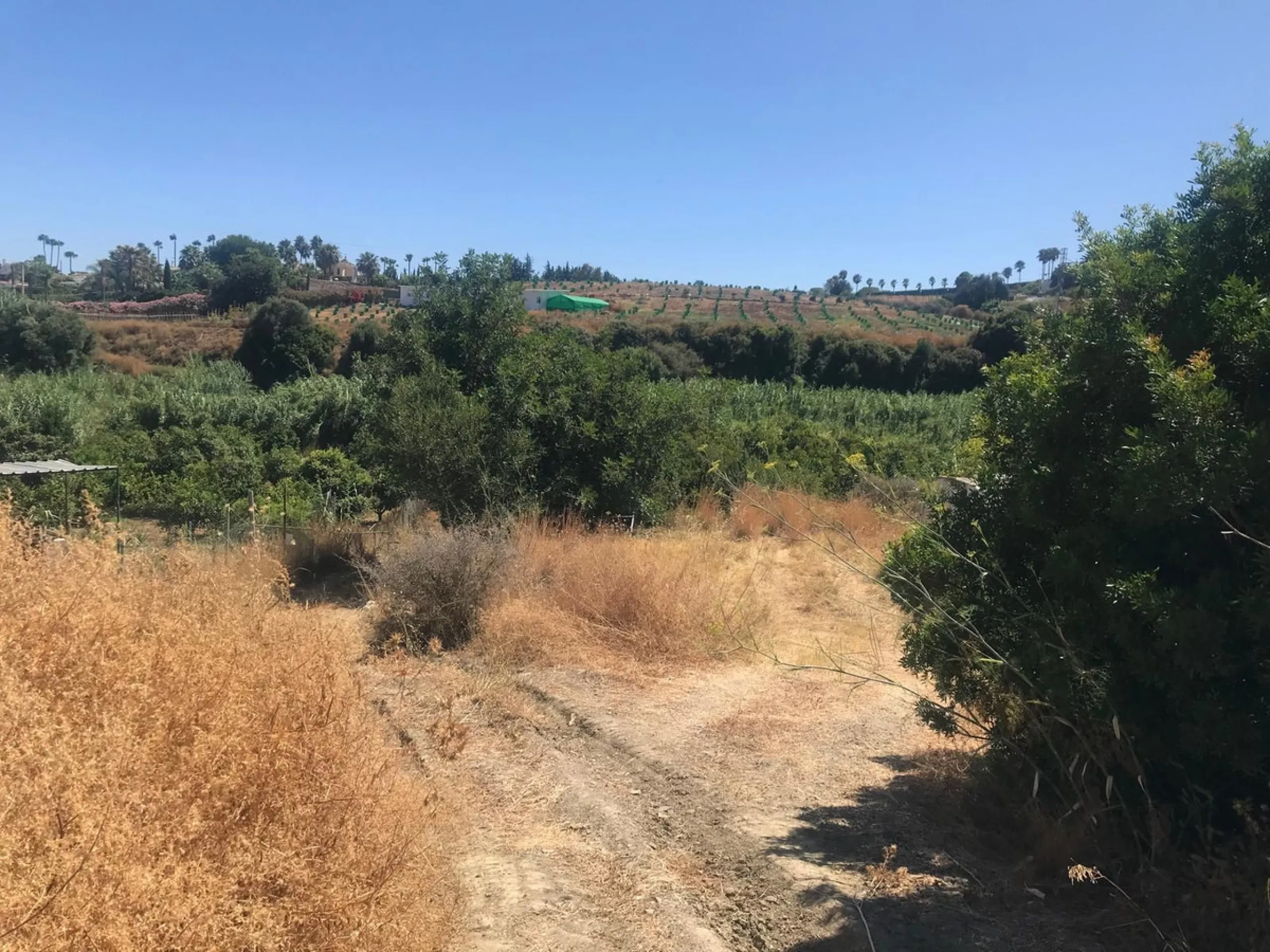 Plot - Land в продаже в Estepona, Málaga. Площадь участка 27265 м²