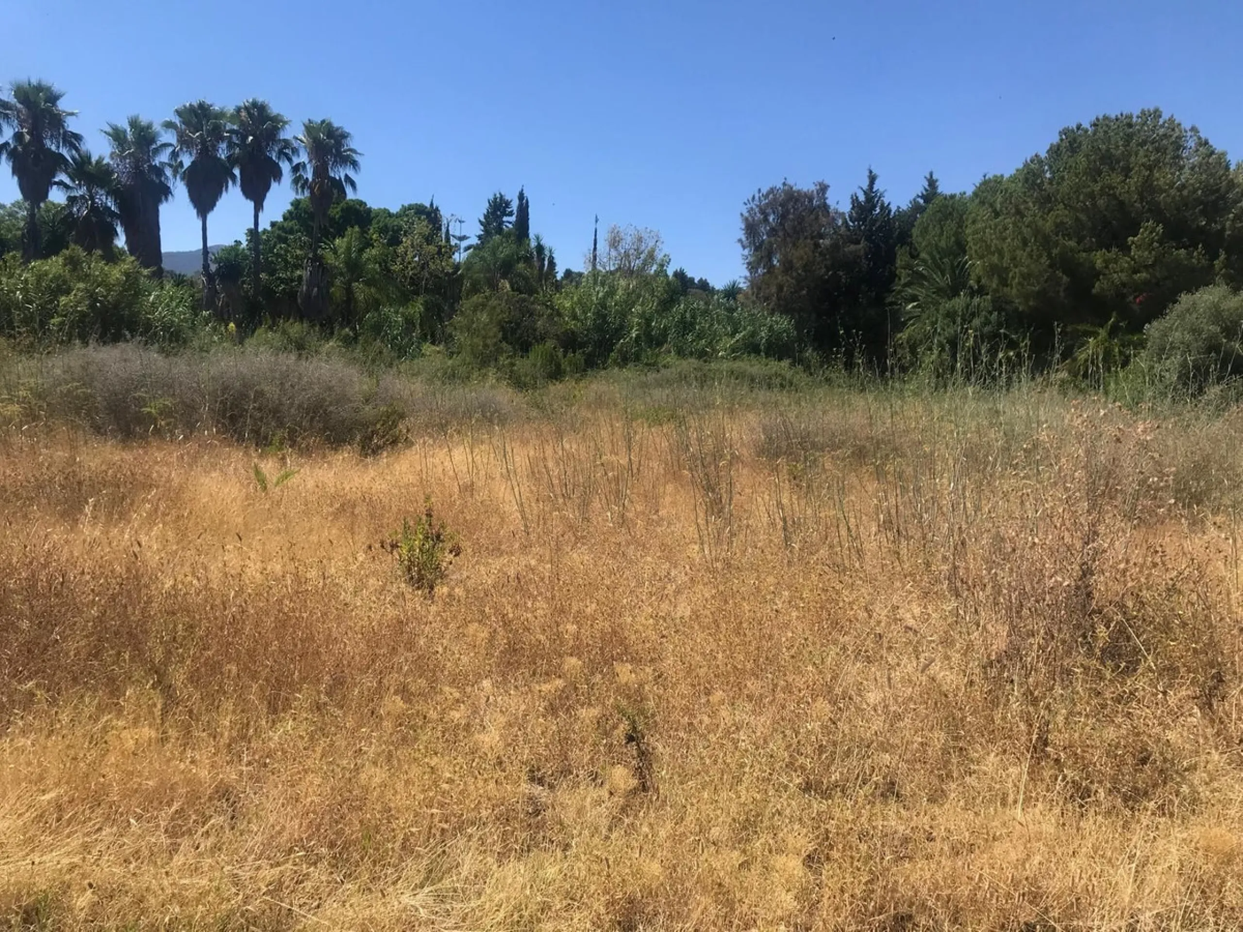 Plot - Land в продаже в Estepona, Málaga. Площадь участка 27265 м²