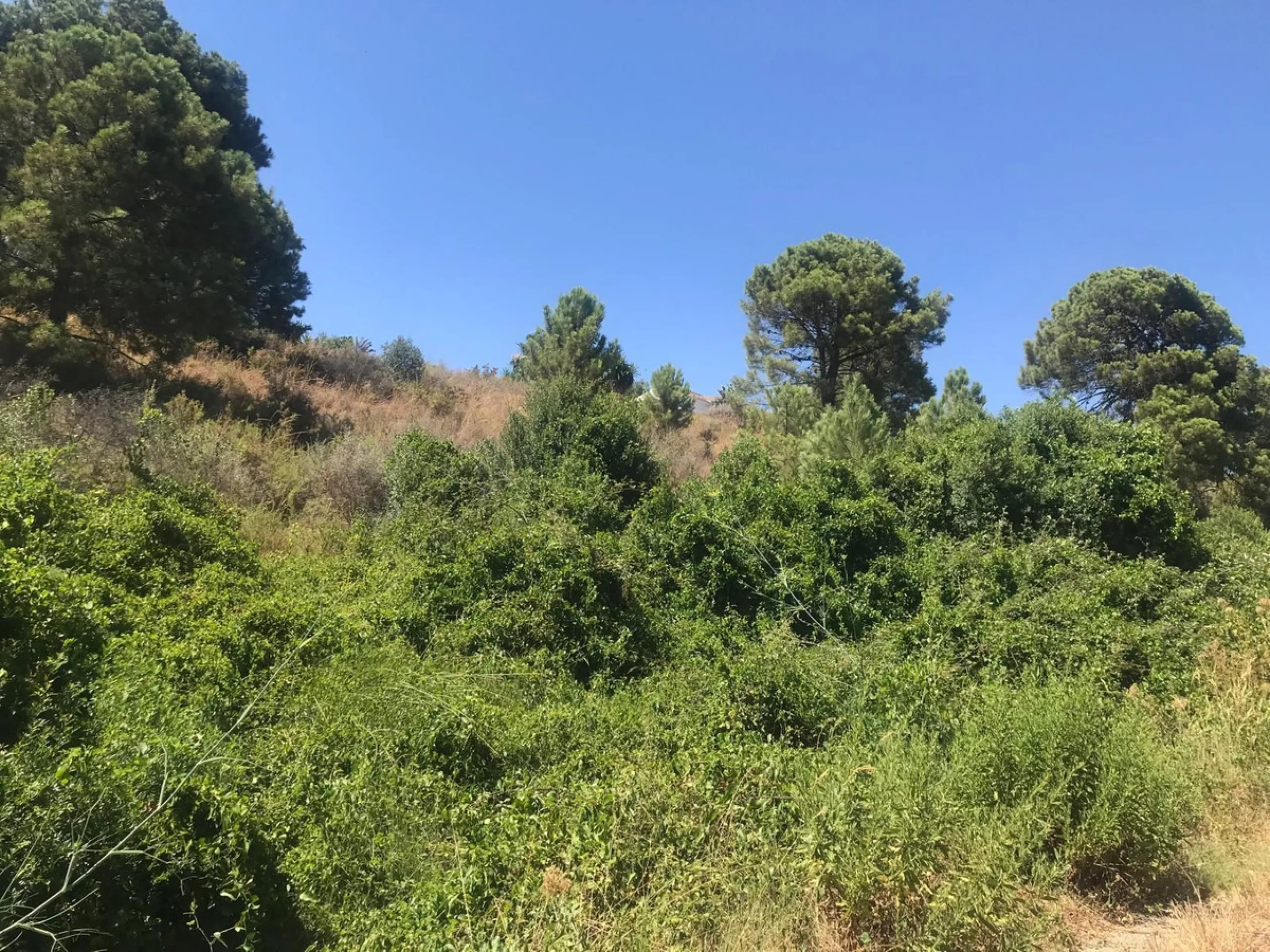Plot - Land в продаже в Estepona, Málaga. Площадь участка 27265 м²