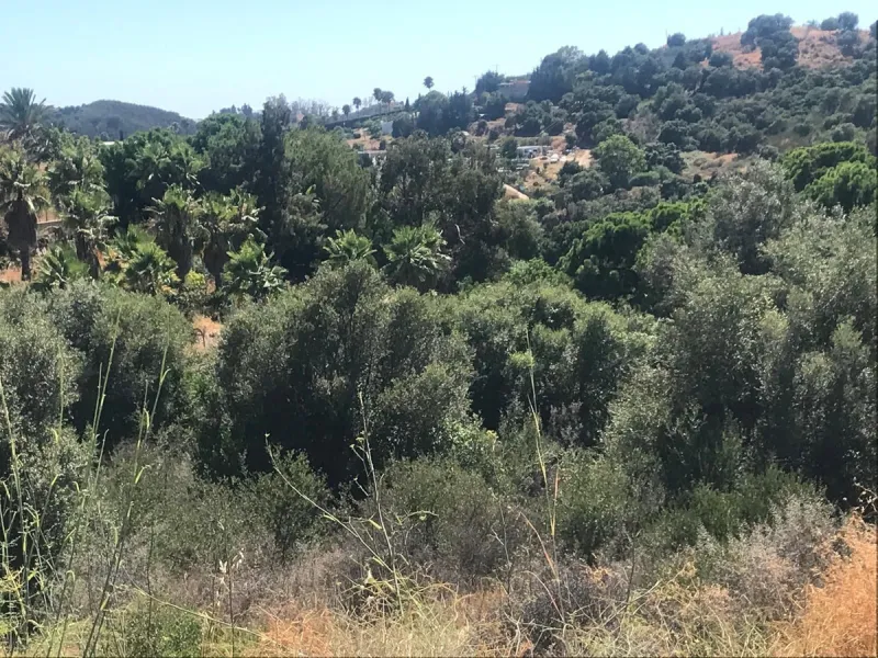 Plot - Land в продаже в Estepona, Málaga. Площадь участка 27265 м²