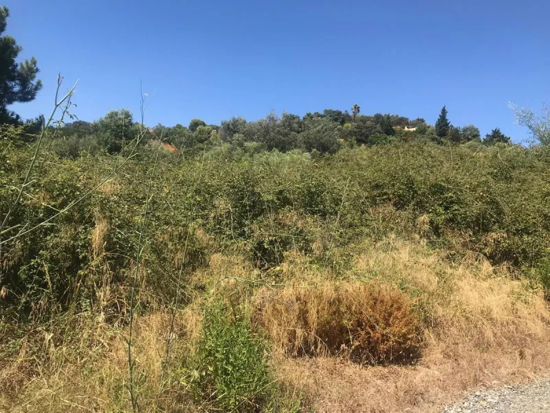 Plot - Land в продаже в Estepona, Málaga. Площадь участка 27265 м²