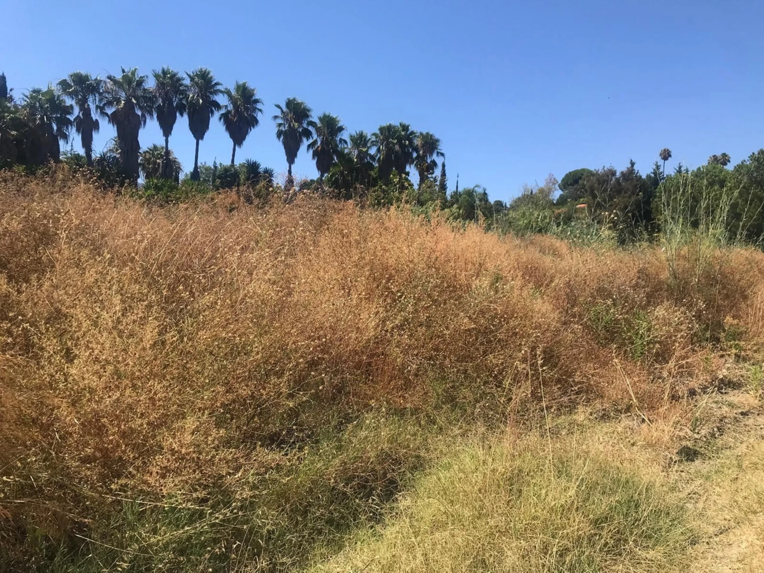 Plot - Land в продаже в Estepona, Málaga. Площадь участка 27265 м²