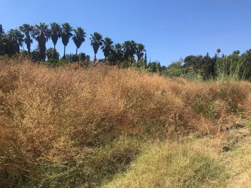 Plot - Land в продаже в Estepona, Málaga. Площадь участка 27265 м²