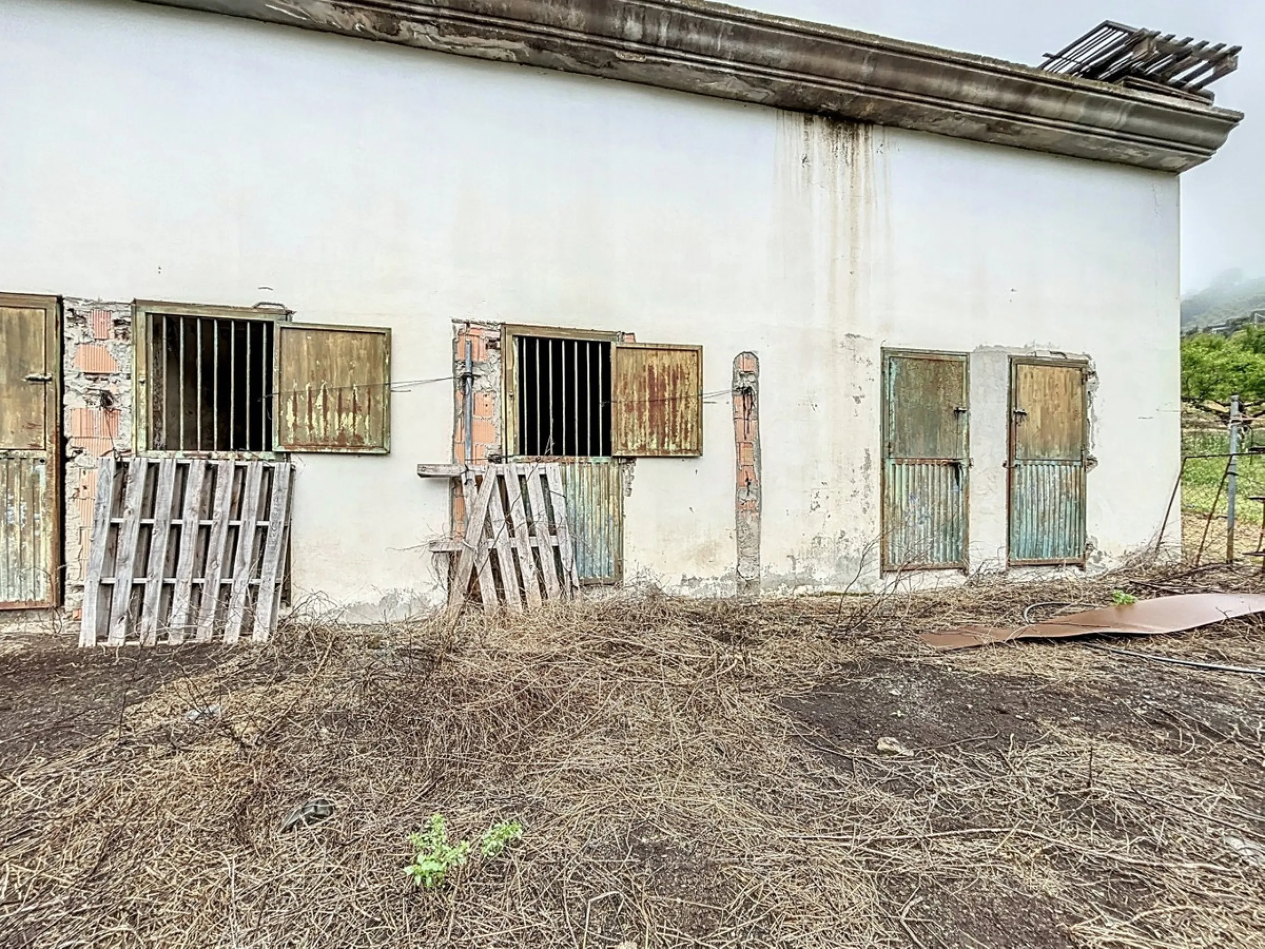 Near Arenas, nestled in the gentle hills of the Axarquía, lies this versatile property with several buildings and stables a true project for people with vision. On a plot of just over 2,200 m2, there are various partly connected structures with a total bu