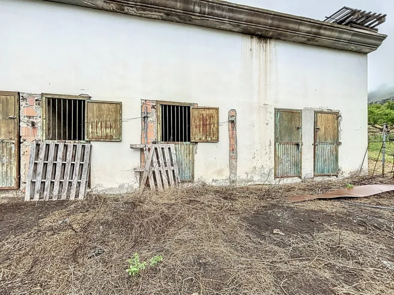 Near Arenas, nestled in the gentle hills of the Axarquía, lies this versatile property with several buildings and stables a true project for people with vision. On a plot of just over 2,200 m2, there are various partly connected structures with a total bu