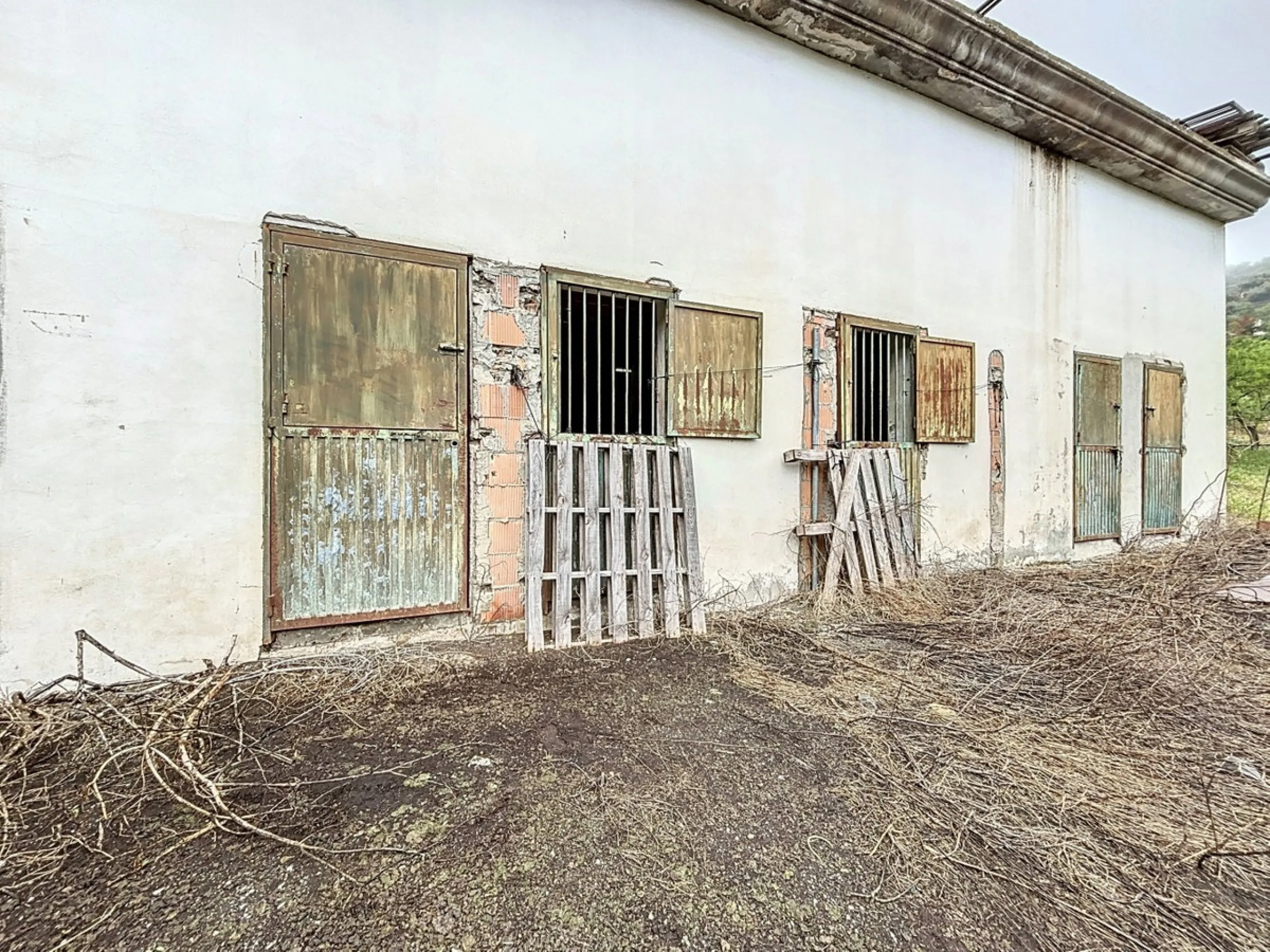 Near Arenas, nestled in the gentle hills of the Axarquía, lies this versatile property with several buildings and stables a true project for people with vision. On a plot of just over 2,200 m2, there are various partly connected structures with a total bu