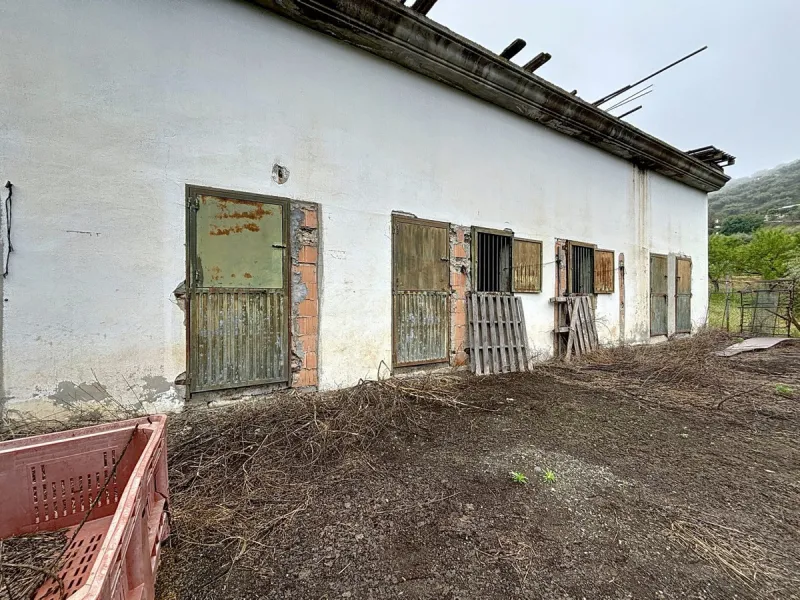Near Arenas, nestled in the gentle hills of the Axarquía, lies this versatile property with several buildings and stables a true project for people with vision. On a plot of just over 2,200 m2, there are various partly connected structures with a total bu