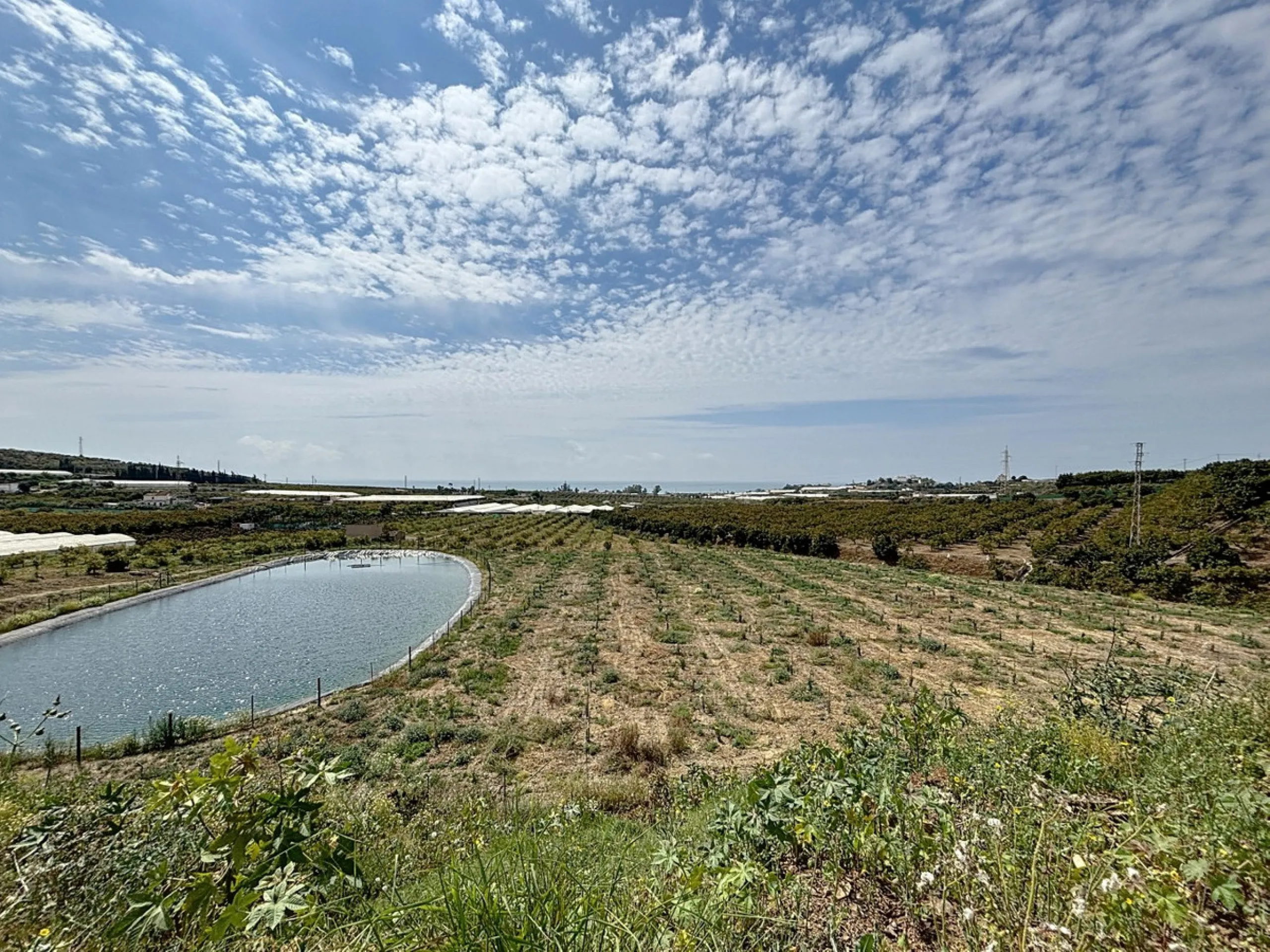 Nestled in the rolling hills of Valle Niza, this expansive agricultural estate of approximately 80,000 m2 offers a rare opportunity for farmers, investors, or visionaries seeking a versatile plot of land. The property features a large water reservoir with