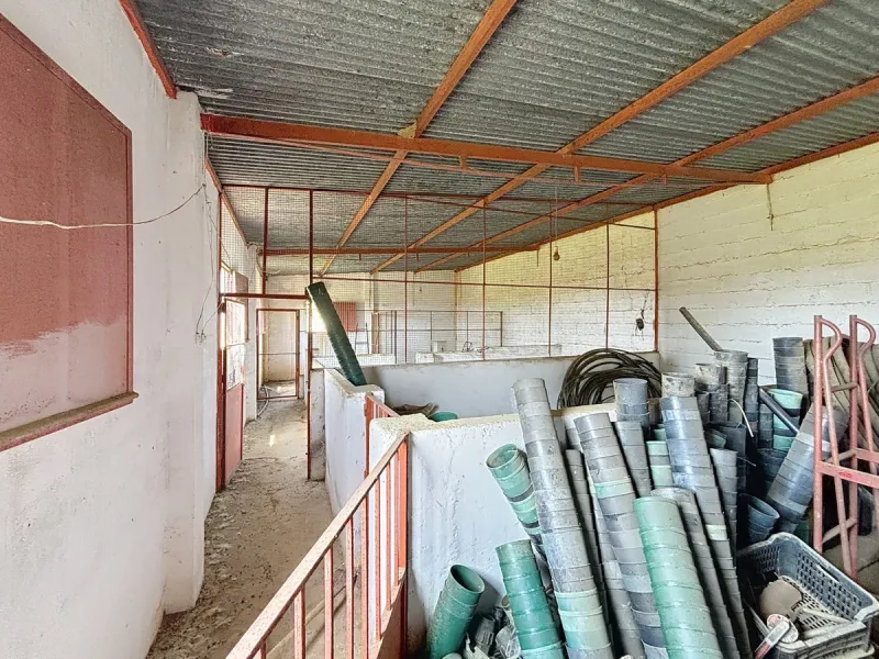 Nestled in the rolling hills of Valle Niza, this expansive agricultural estate of approximately 80,000 m2 offers a rare opportunity for farmers, investors, or visionaries seeking a versatile plot of land. The property features a large water reservoir with