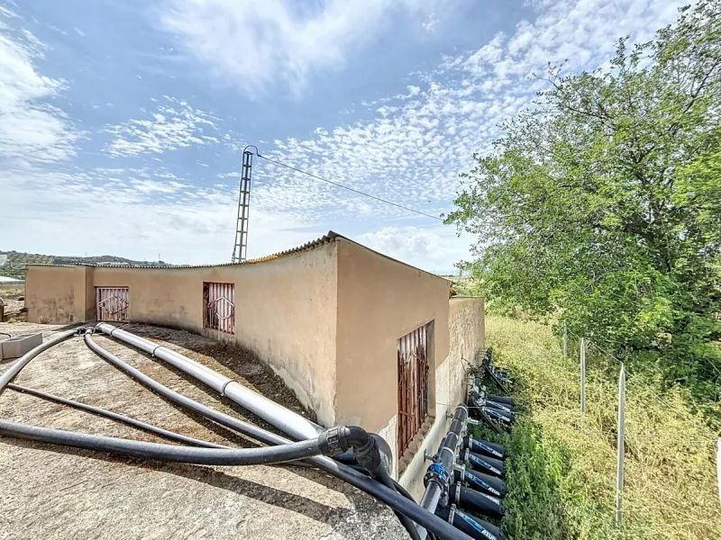 Nestled in the rolling hills of Valle Niza, this expansive agricultural estate of approximately 80,000 m2 offers a rare opportunity for farmers, investors, or visionaries seeking a versatile plot of land. The property features a large water reservoir with