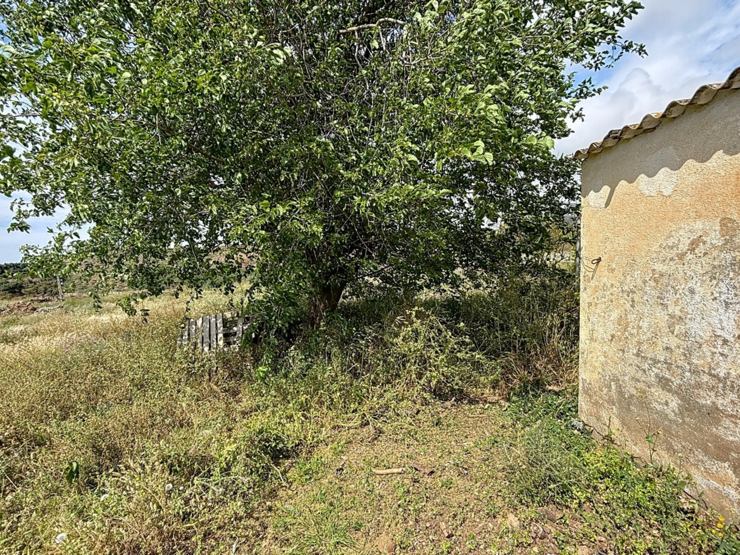 Nestled in the rolling hills of Valle Niza, this expansive agricultural estate of approximately 80,000 m2 offers a rare opportunity for farmers, investors, or visionaries seeking a versatile plot of land. The property features a large water reservoir with