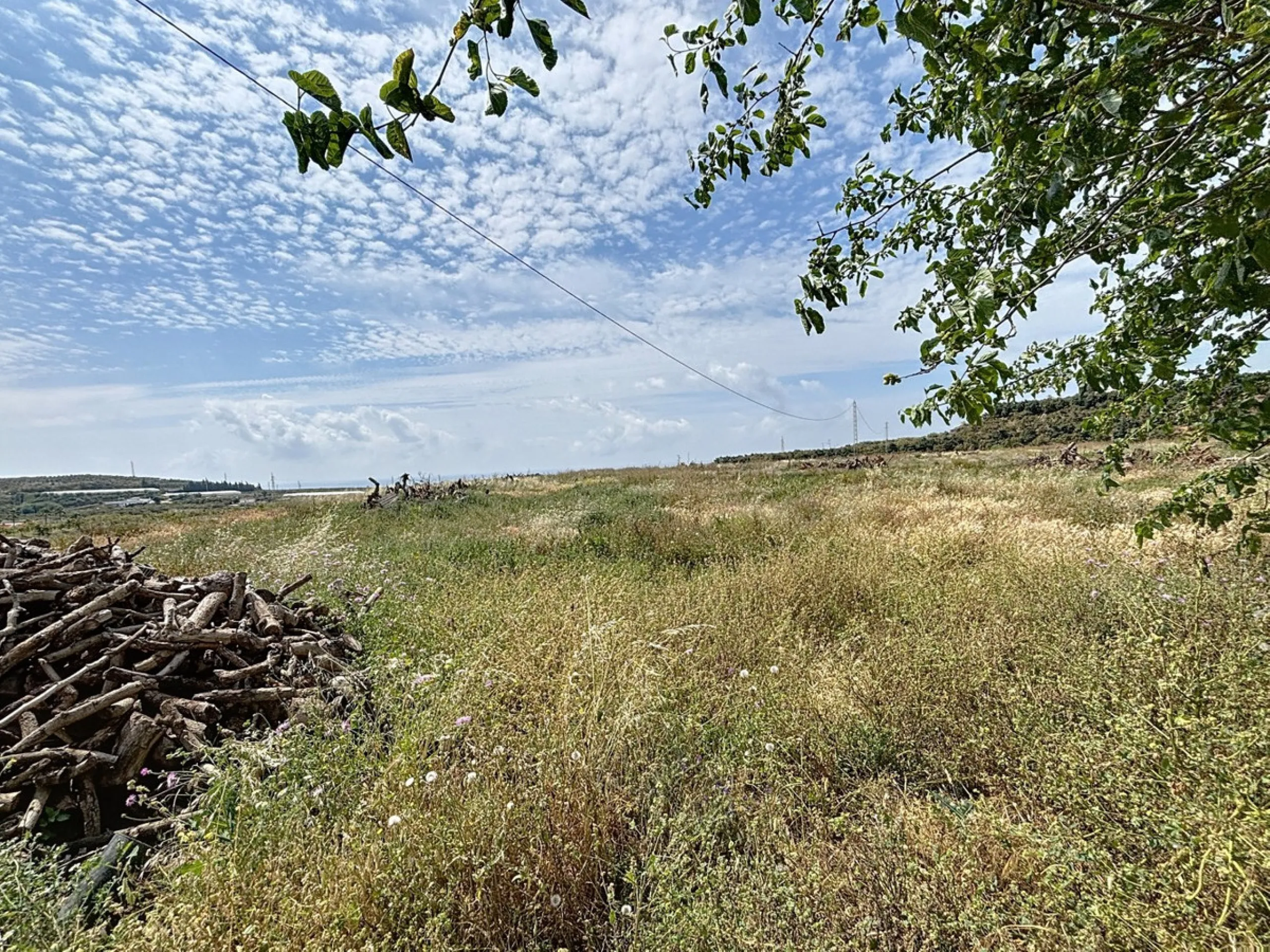 Nestled in the rolling hills of Valle Niza, this expansive agricultural estate of approximately 80,000 m2 offers a rare opportunity for farmers, investors, or visionaries seeking a versatile plot of land. The property features a large water reservoir with