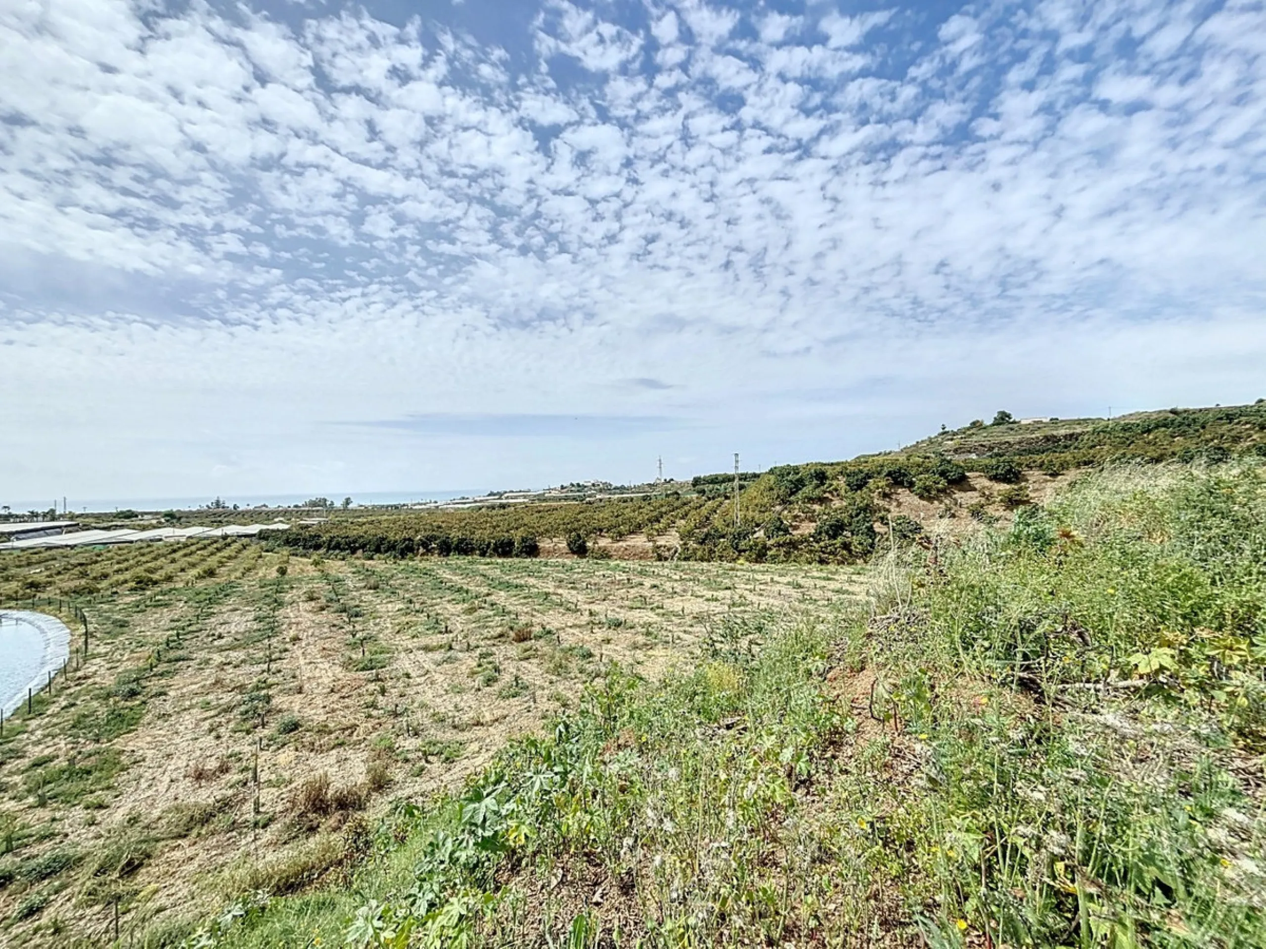 Nestled in the rolling hills of Valle Niza, this expansive agricultural estate of approximately 80,000 m2 offers a rare opportunity for farmers, investors, or visionaries seeking a versatile plot of land. The property features a large water reservoir with