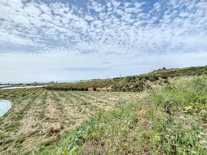 Nestled in the rolling hills of Valle Niza, this expansive agricultural estate of approximately 80,000 m2 offers a rare opportunity for farmers, investors, or visionaries seeking a versatile plot of land. The property features a large water reservoir with