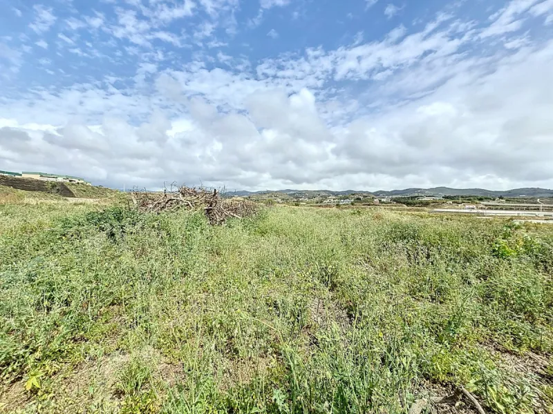Nestled in the rolling hills of Valle Niza, this expansive agricultural estate of approximately 80,000 m2 offers a rare opportunity for farmers, investors, or visionaries seeking a versatile plot of land. The property features a large water reservoir with