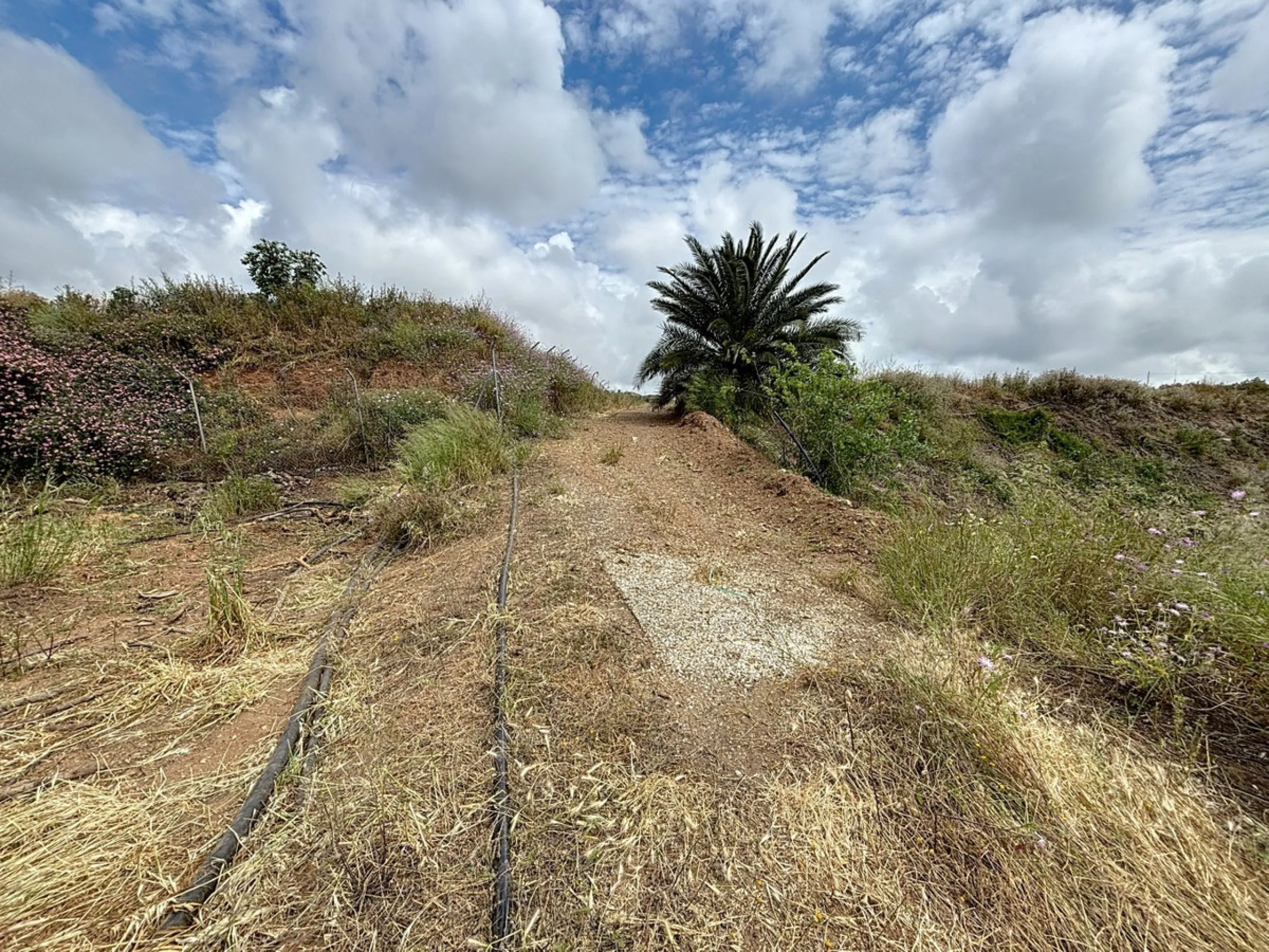 Nestled in the rolling hills of Valle Niza, this expansive agricultural estate of approximately 80,000 m2 offers a rare opportunity for farmers, investors, or visionaries seeking a versatile plot of land. The property features a large water reservoir with