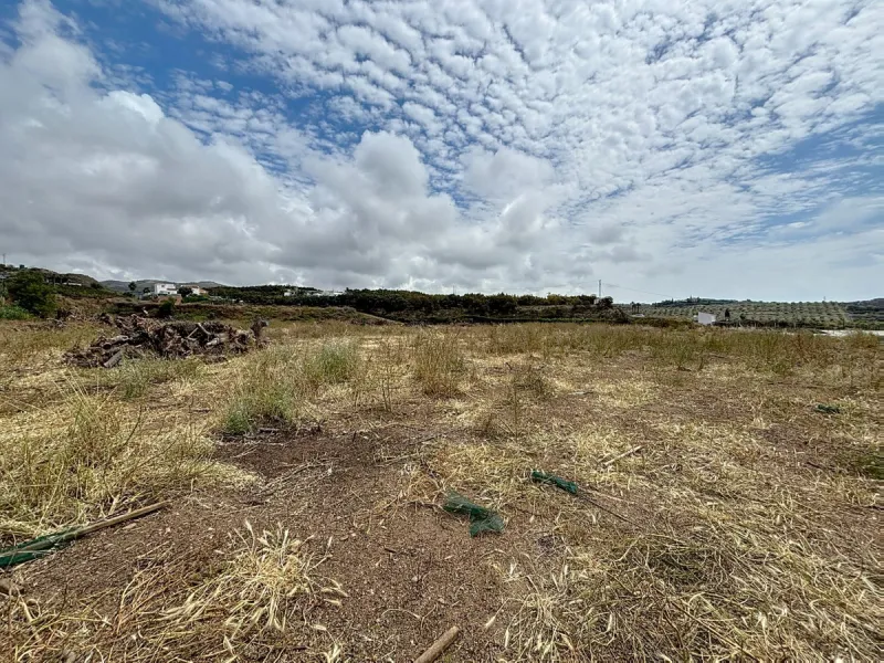 Nestled in the rolling hills of Valle Niza, this expansive agricultural estate of approximately 80,000 m2 offers a rare opportunity for farmers, investors, or visionaries seeking a versatile plot of land. The property features a large water reservoir with