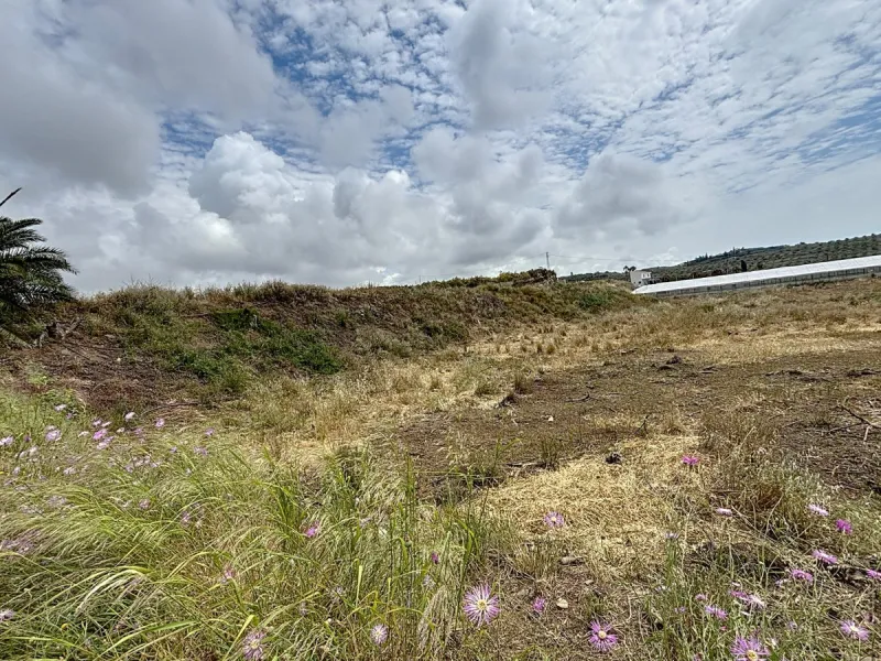 Nestled in the rolling hills of Valle Niza, this expansive agricultural estate of approximately 80,000 m2 offers a rare opportunity for farmers, investors, or visionaries seeking a versatile plot of land. The property features a large water reservoir with