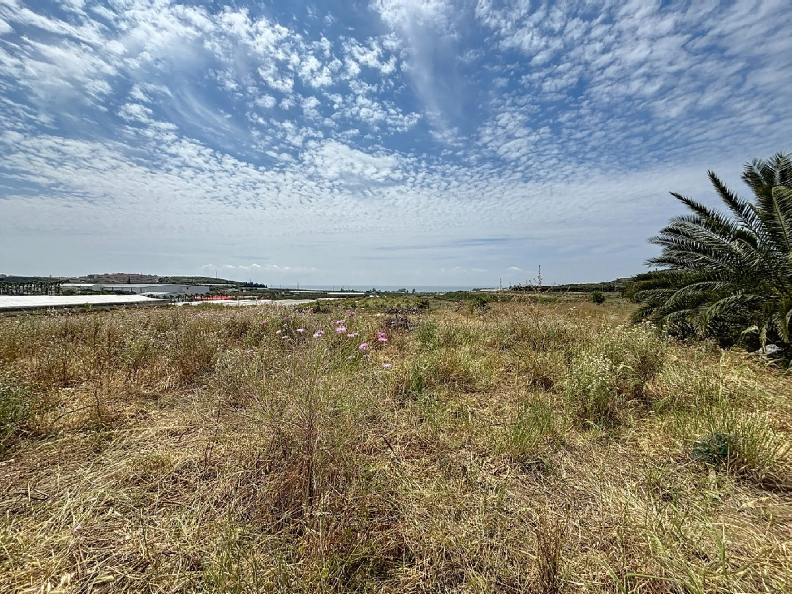 Nestled in the rolling hills of Valle Niza, this expansive agricultural estate of approximately 80,000 m2 offers a rare opportunity for farmers, investors, or visionaries seeking a versatile plot of land. The property features a large water reservoir with