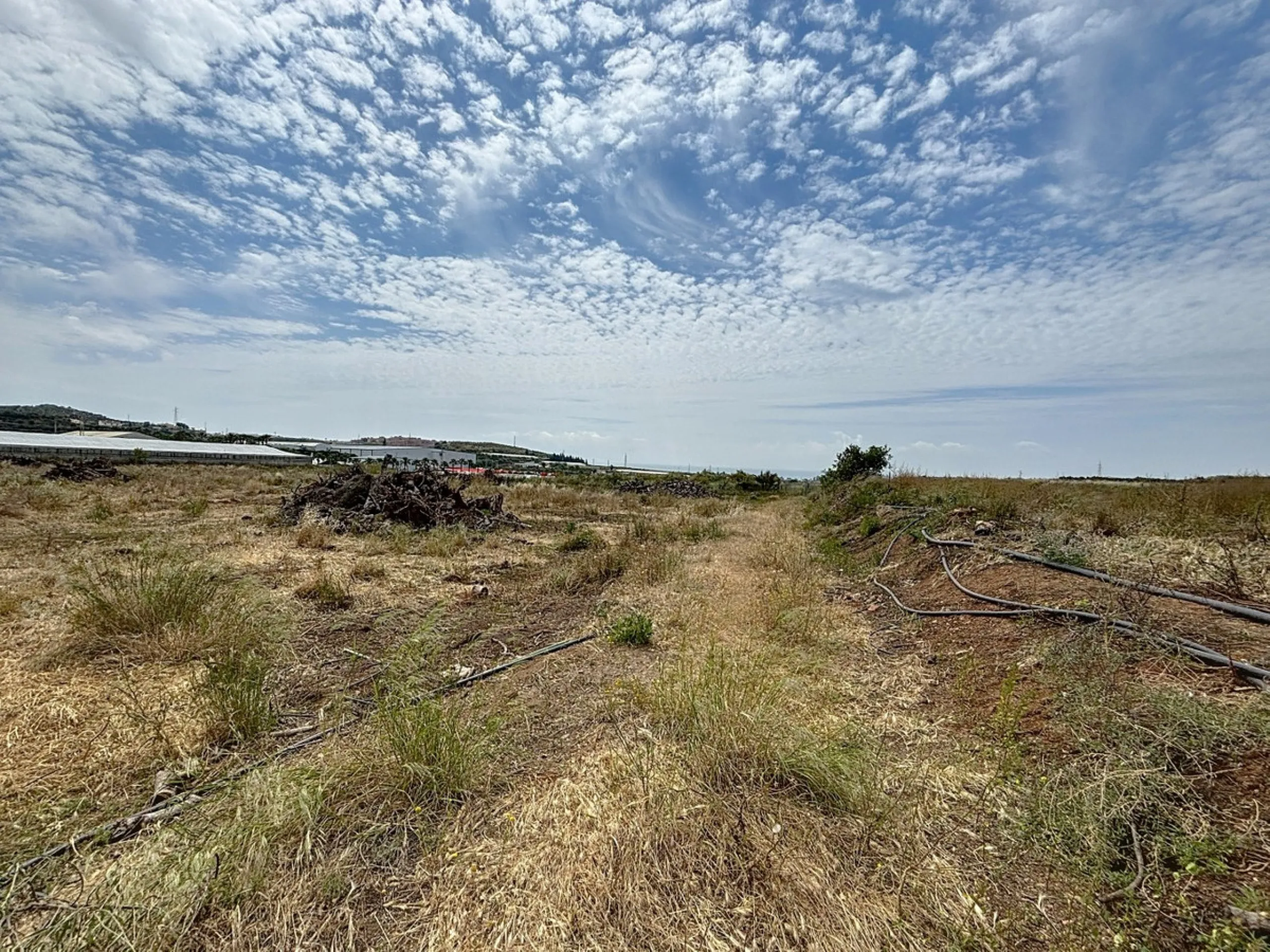 Nestled in the rolling hills of Valle Niza, this expansive agricultural estate of approximately 80,000 m2 offers a rare opportunity for farmers, investors, or visionaries seeking a versatile plot of land. The property features a large water reservoir with