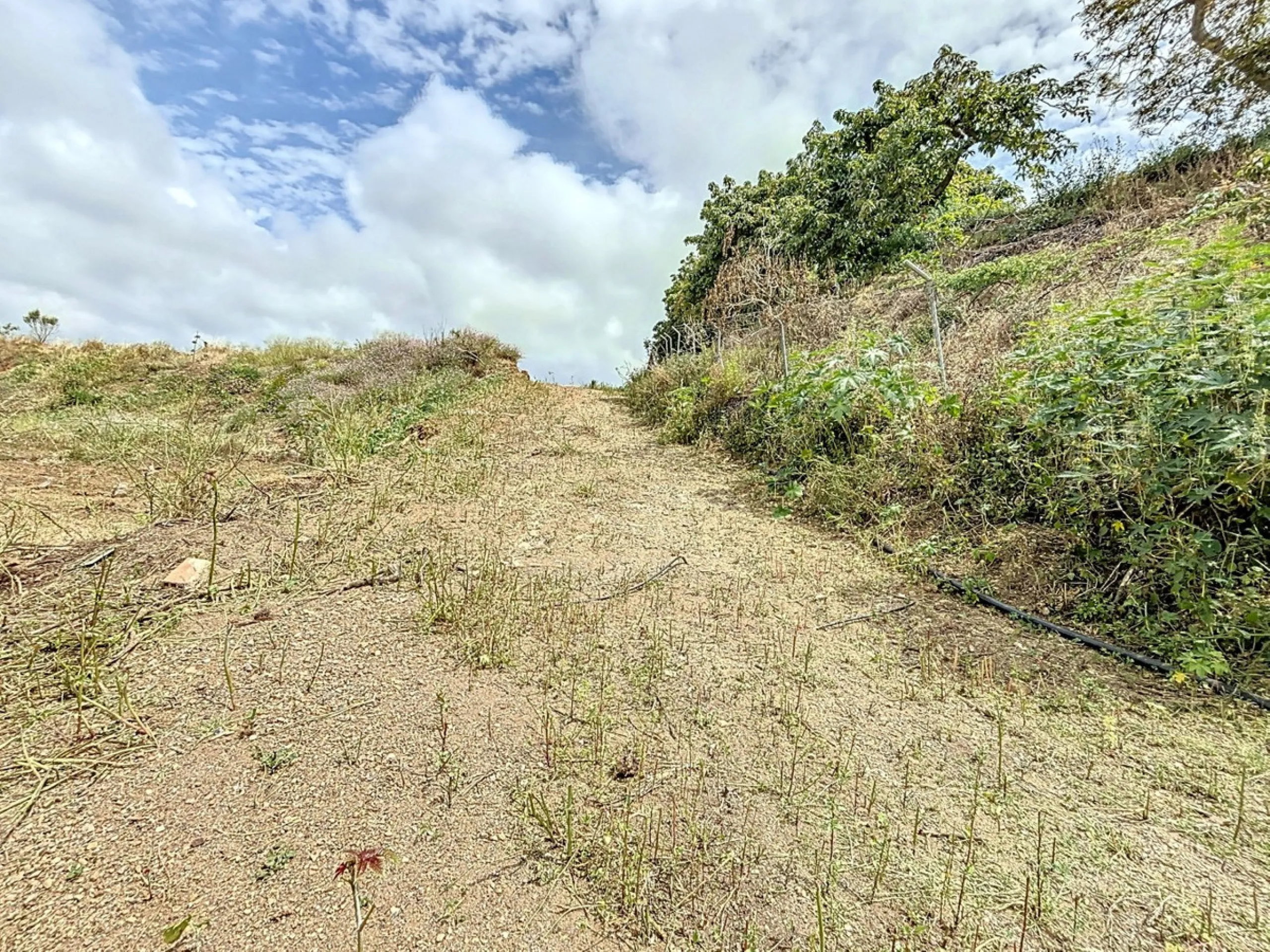 Nestled in the rolling hills of Valle Niza, this expansive agricultural estate of approximately 80,000 m2 offers a rare opportunity for farmers, investors, or visionaries seeking a versatile plot of land. The property features a large water reservoir with