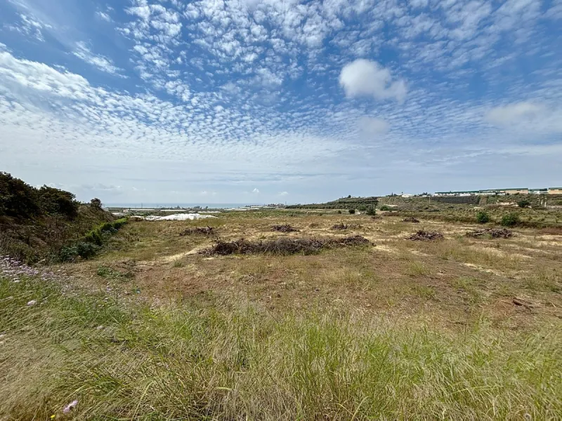 Nestled in the rolling hills of Valle Niza, this expansive agricultural estate of approximately 80,000 m2 offers a rare opportunity for farmers, investors, or visionaries seeking a versatile plot of land. The property features a large water reservoir with