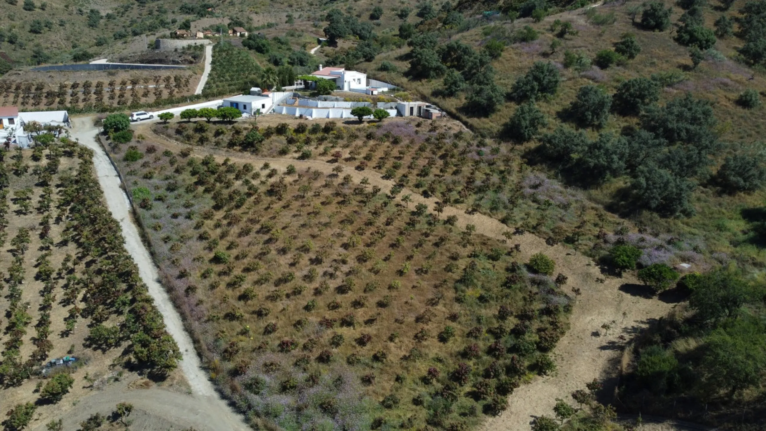 Nestled in the peaceful hills of Almayate Alto, this charming finca offers a rare opportunity to enjoy country living with breathtaking sea views. The property features a cozy 80m2 house with three bedrooms and one bathroom, ideal for those seeking a tran