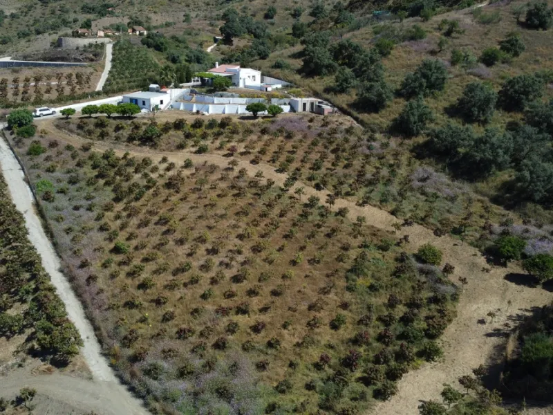 Nestled in the peaceful hills of Almayate Alto, this charming finca offers a rare opportunity to enjoy country living with breathtaking sea views. The property features a cozy 80m2 house with three bedrooms and one bathroom, ideal for those seeking a tran